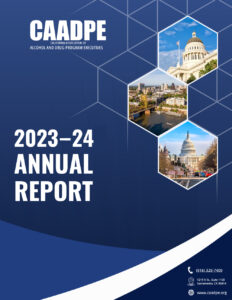 annual report cover